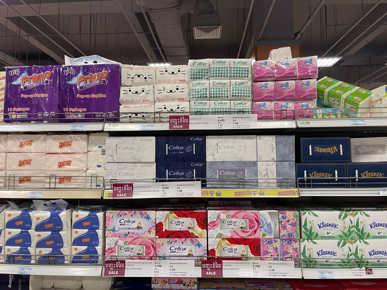 Modern Trade Distribution of Cellox and Hygienist Products by BJC at Makro Cambodia - Image 32